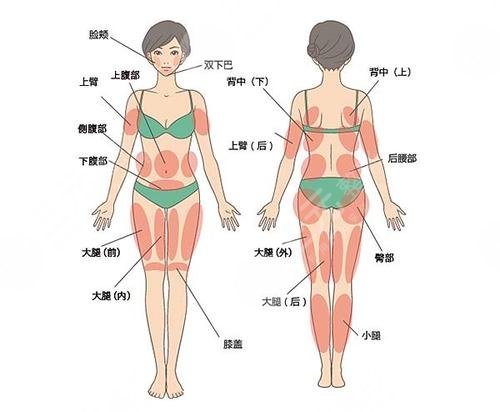 上海市第六人民医院整形科郭峰医生超声波瘦腰腹原理问答