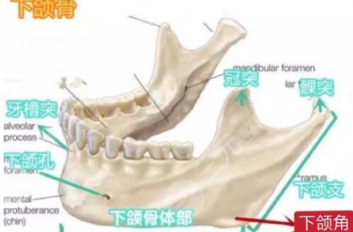 做磨骨手术的价格是多少