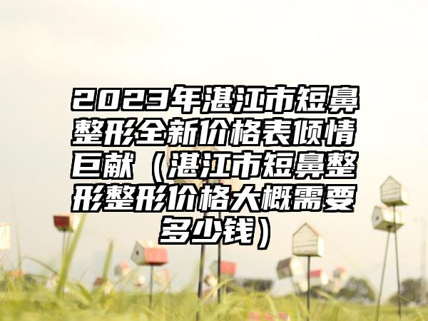 2023年湛江市短鼻整形全新价格表倾情巨献（湛江市短鼻整形整形价格大概需要多少钱）