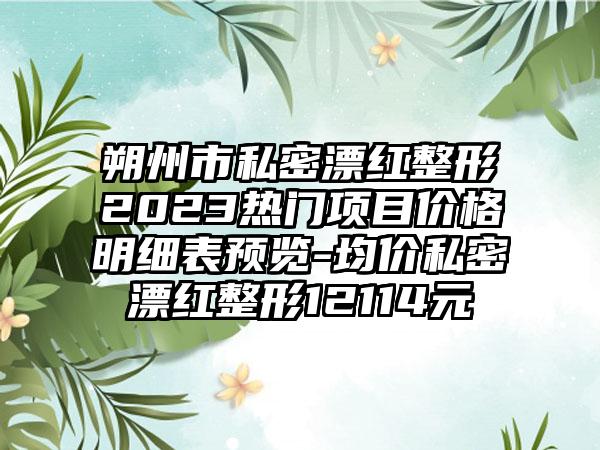 朔州市私密漂红整形2023热门项目价格明细表预览-均价私密漂红整形12114元