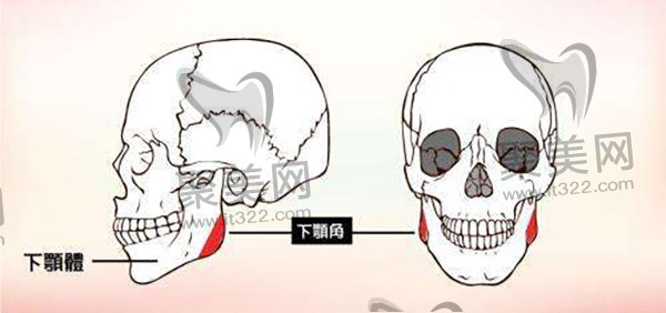 郑州赵绛波下颌角