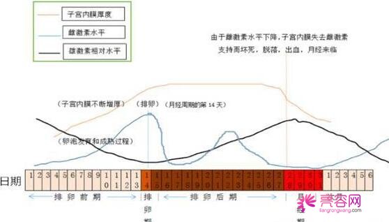 维生素e去痘印方法有哪些？果怎么样？功有哪些？长痘原因大揭秘！