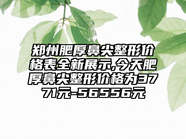 郑州肥厚鼻尖整形价格表全新展示,今天肥厚鼻尖整形价格为3771元-56556元