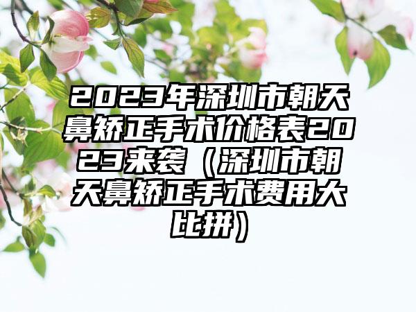 2023年深圳市朝天鼻矫正手术价格表2023来袭（深圳市朝天鼻矫正手术费用大比拼）
