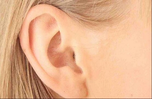 耳朵再造整形手术价格