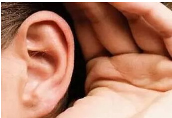 外耳道是哪里_外耳道是什么
